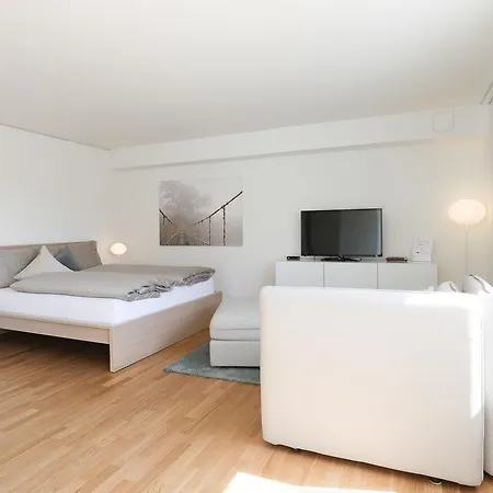 Uze In Sg Apartament Uzwil